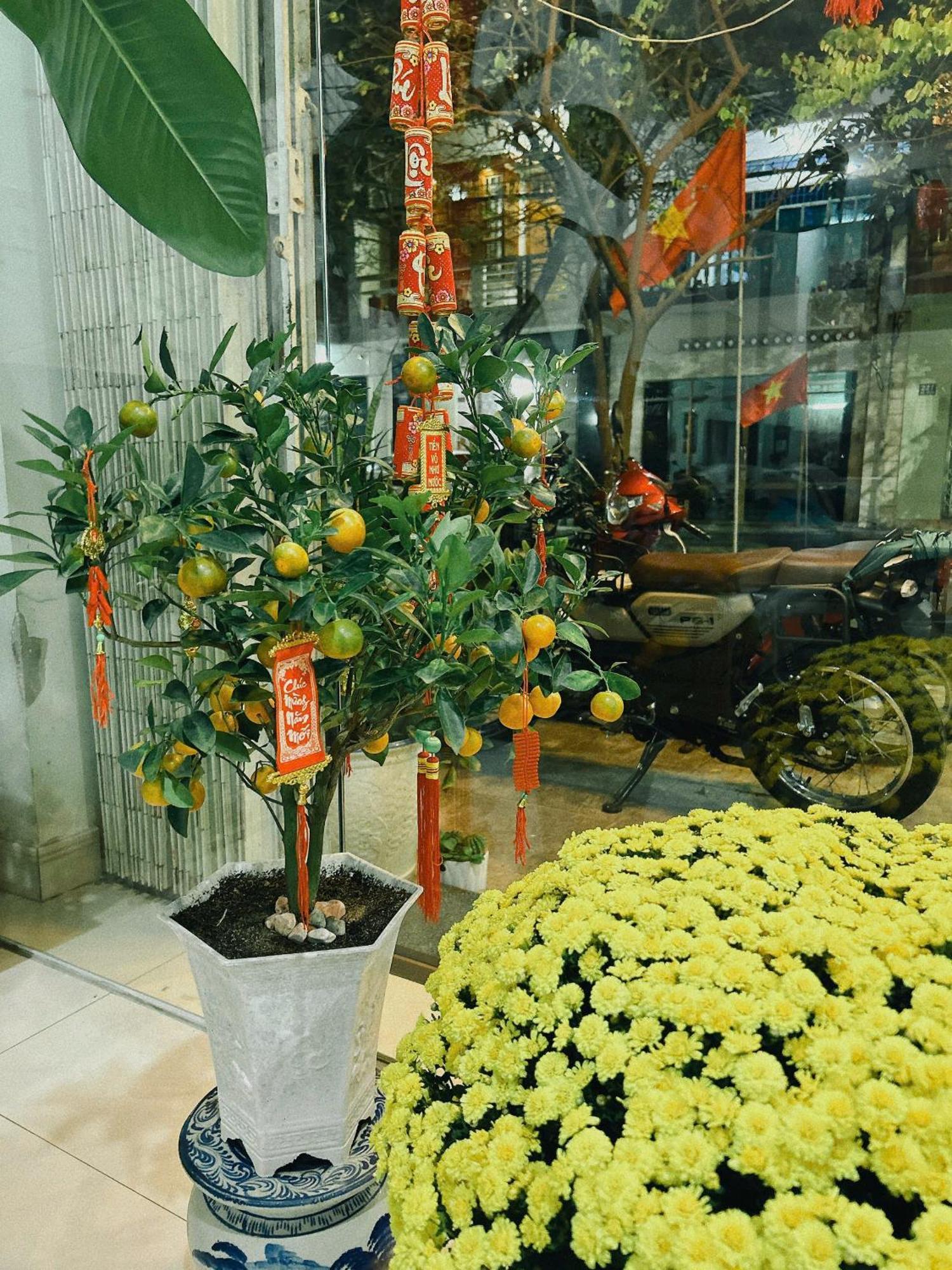 Nang Homestay ตวีฮหว่า ภายนอก รูปภาพ